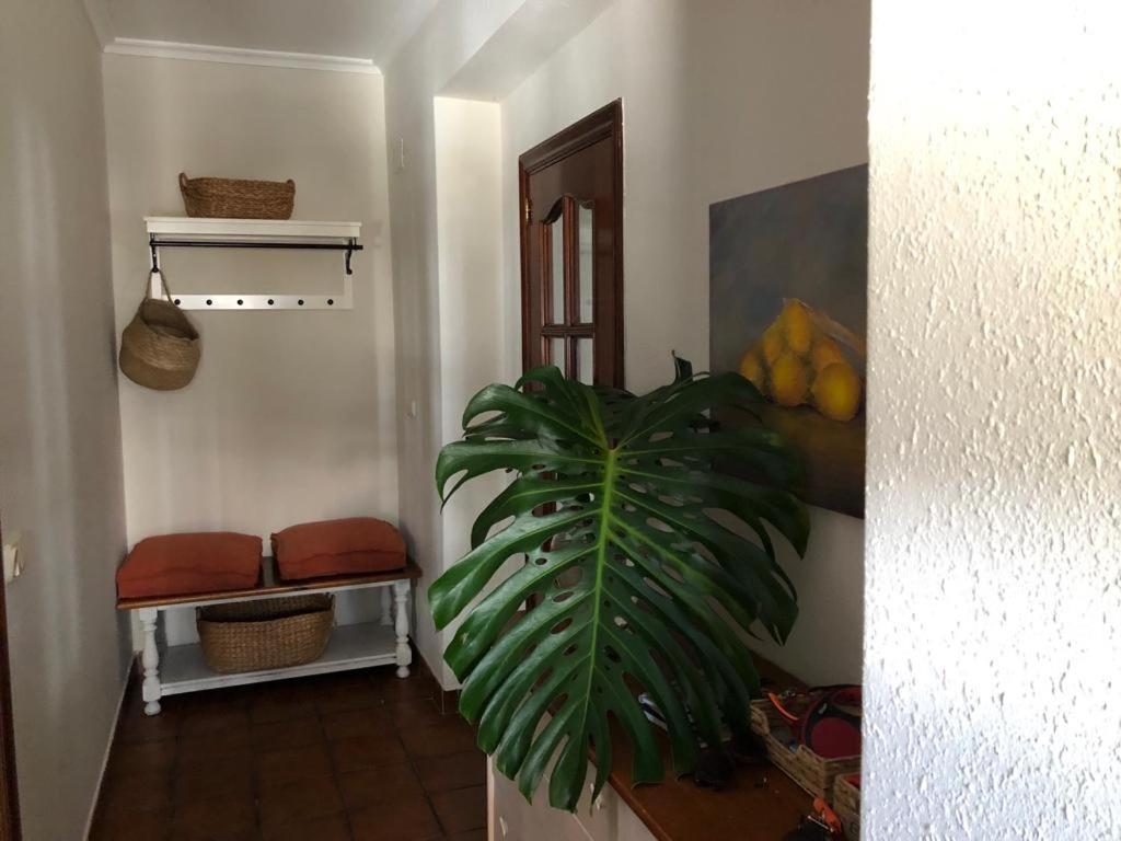 Casa Santa Ana